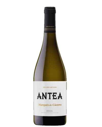 VINO ANTEA BLANCO