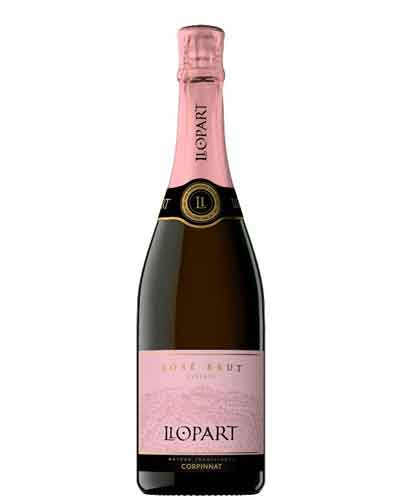 LLOPART ROSE