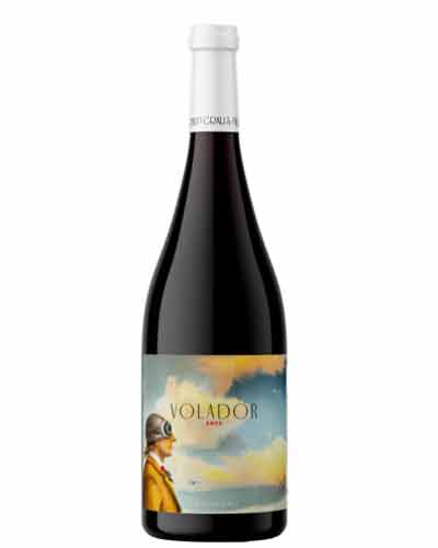 VOLADOR NEGRE
